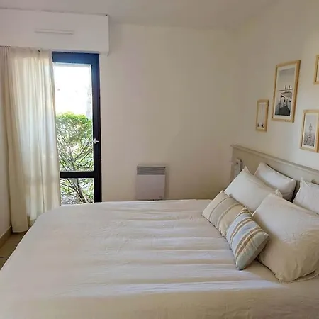 T3 Clim Piscine Chauffee Proche De La Parking Dans Village 公寓 阿格德