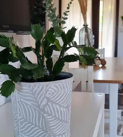 T3 Clim Piscine Chauffee Proche De La Parking Dans Village 阿格德