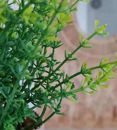 T3 Clim Piscine Chauffee Proche De La Parking Dans Village